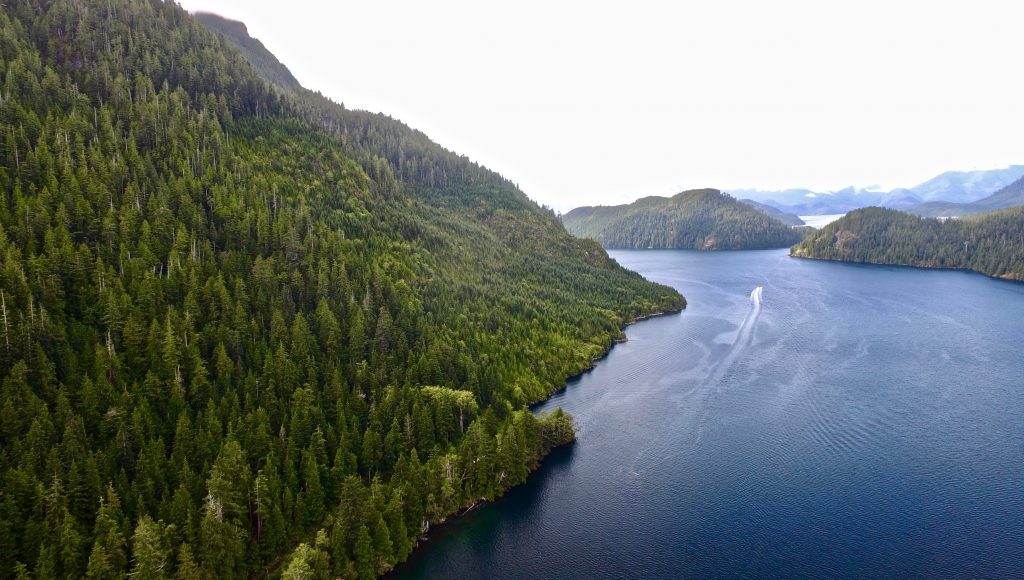 Kayaking In Kyuquot BC | Fair Harbour Marina